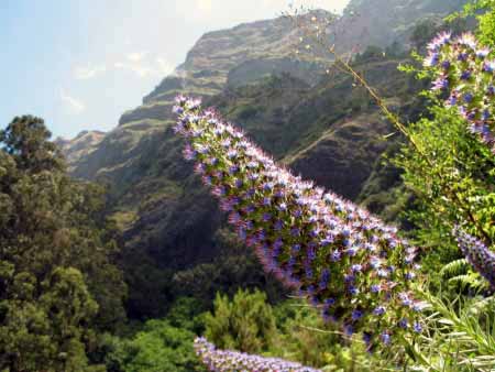 Wandern Teneriffa